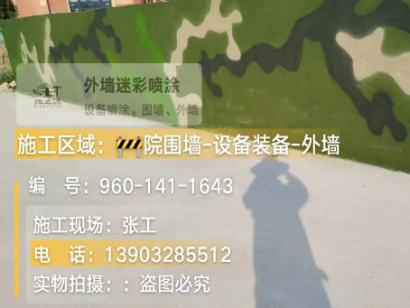 广安 迷彩漆喷涂价格（按平方米计费）